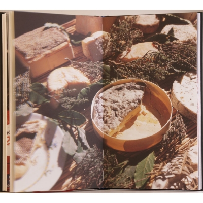 Tour Auto-Tour Gourmet inkl. 1ner Fl. Wein